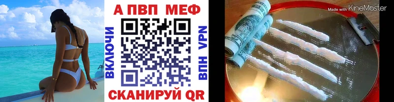 A PVP СК  Кадников 