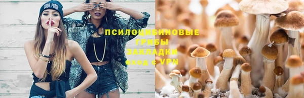 хмурый Дмитровск