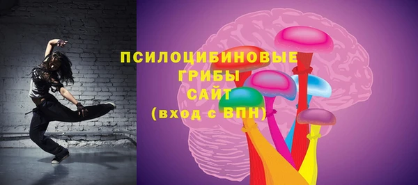 хмурый Дмитровск