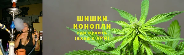 хмурый Дмитровск