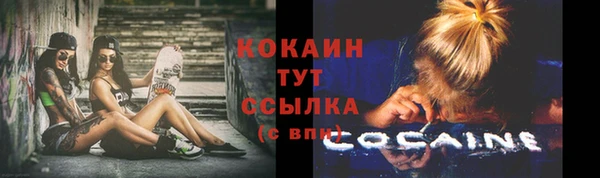 хмурый Дмитровск