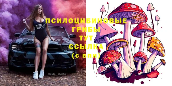 хмурый Дмитровск