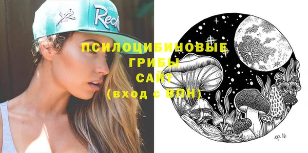 хмурый Дмитровск