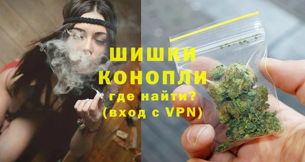 PSILOCYBIN Елабуга