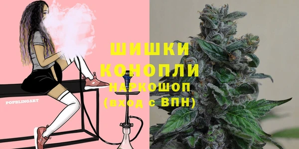 ешки Ельня