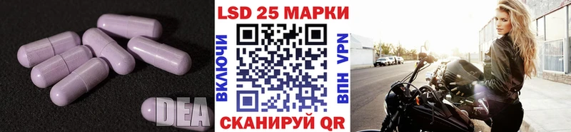 LSD-25 экстази ecstasy  kraken ТОР  Кадников 