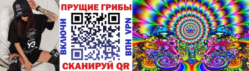 Псилоцибиновые грибы ЛСД  магазин продажи наркотиков  Кадников 